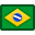 Bandeira do Brasil - Idioma: Português